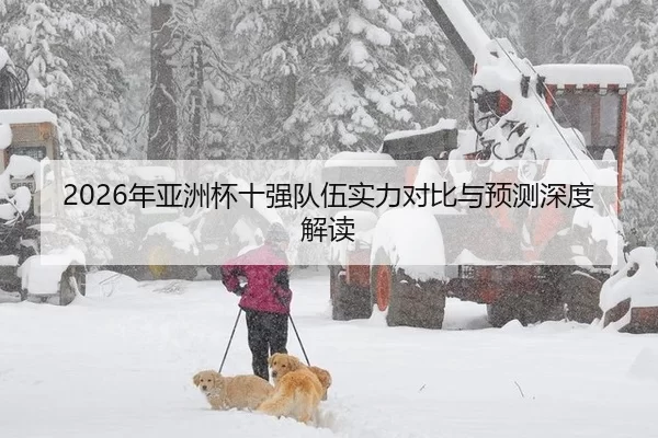 2026年亚洲杯十强队伍实力对比与预测深度解读