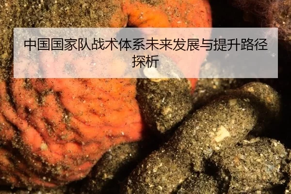 中国国家队战术体系未来发展与提升路径探析